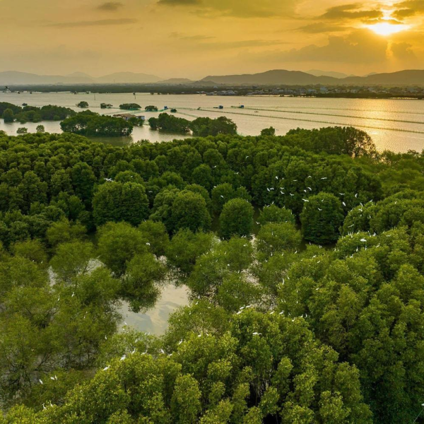 Tour du lịch con đường tơ lụa